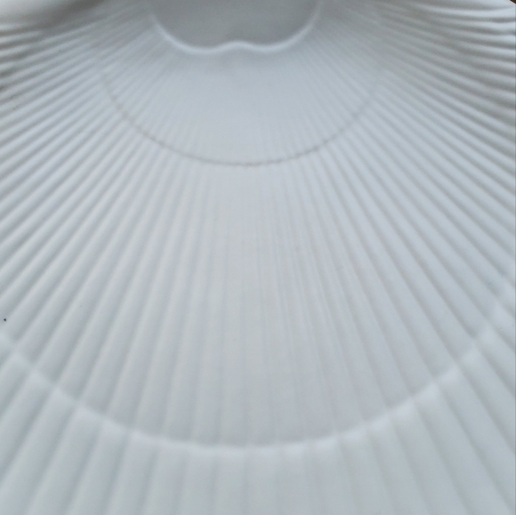 Etruria & Barlaston Wedgewood Shell Serving Plate 11" Nautilus Satin - Picture 4 of 11